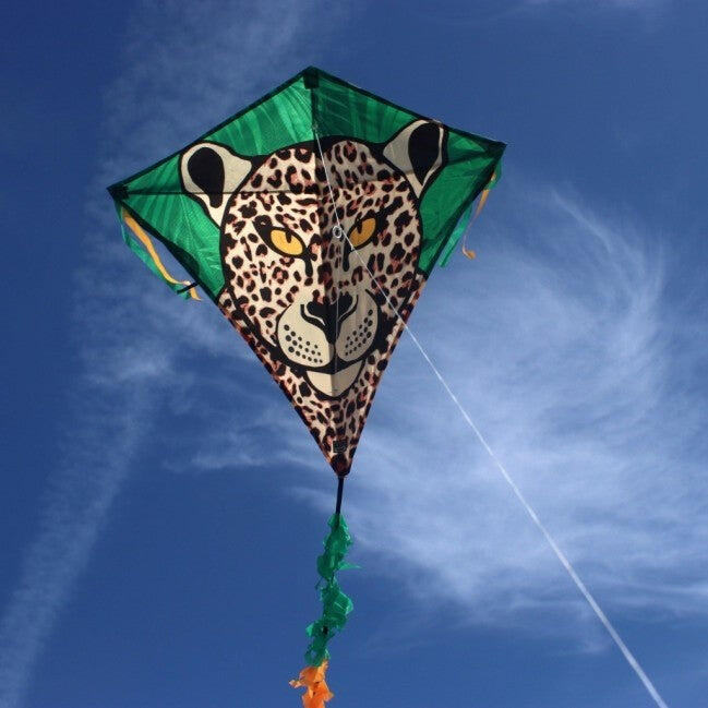 Kinderdrachen Eddy Leopard (bunt), Einleinerdrachen - flugfertig inkl. Schnur 4/7