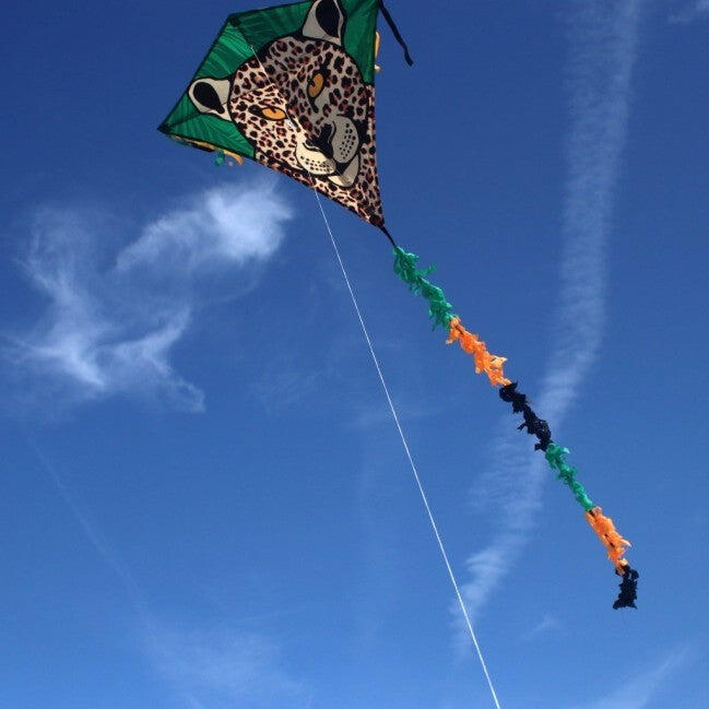 Kinderdrachen Eddy Leopard (bunt), Einleinerdrachen - flugfertig inkl. Schnur 7/7