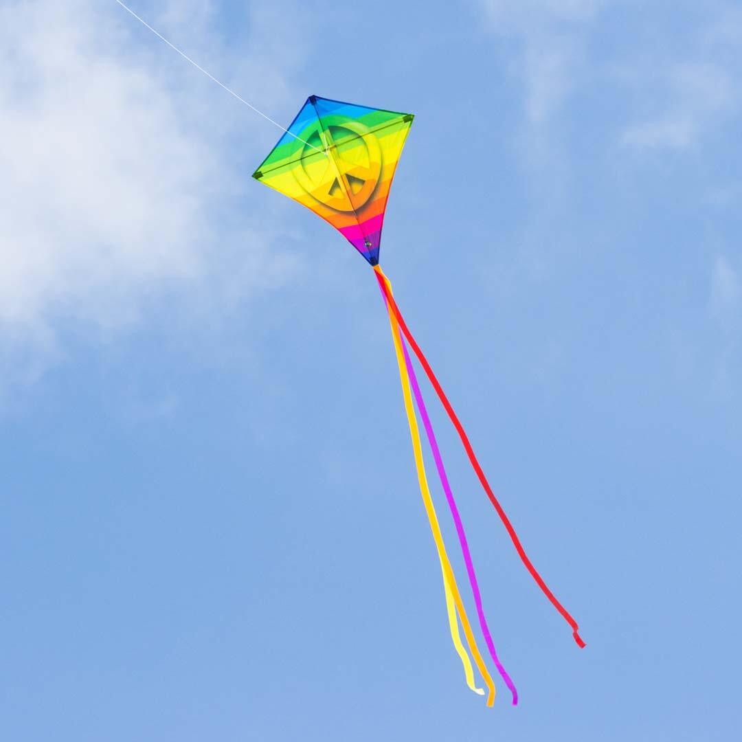 Kinderdrachen HQ Eddy Rainbow Peace 100044 Regenbogen 68 x 68 cm + 200 cm staart 4/5