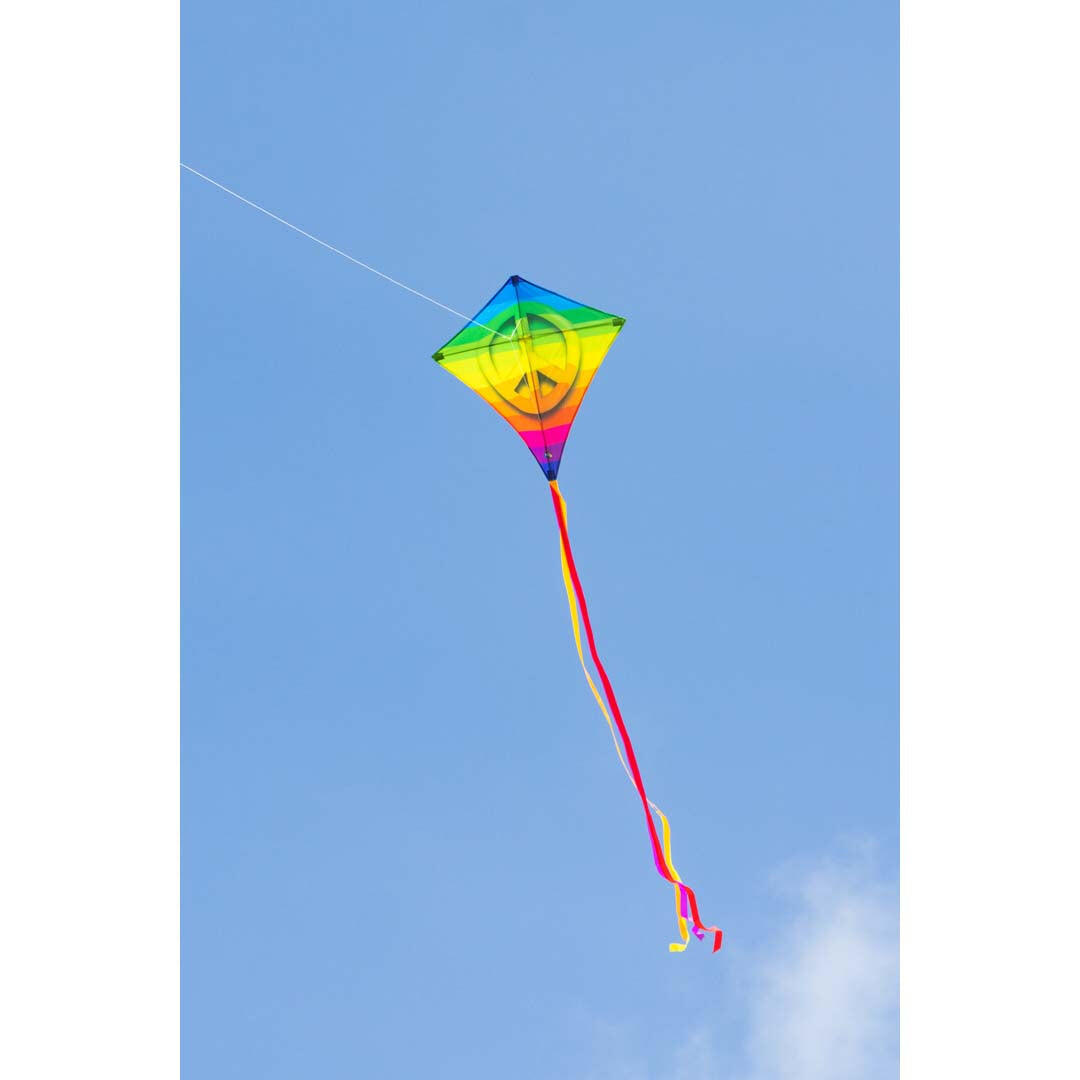Kinderdrachen HQ Eddy Rainbow Peace 100044 Regenbogen 68 x 68 cm + 200 cm staart 5/5