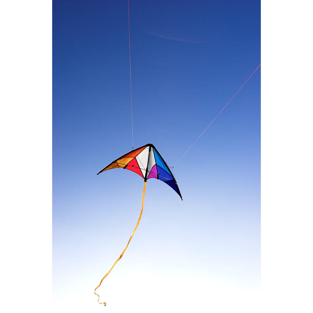 HQ - Calypso II Rainbow - Lenkdrachen, ab 8 Jahren, 59x110cm, flugfertig 6/7