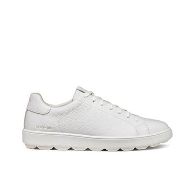 Sneakers Geox Spherica Ecub-1 C