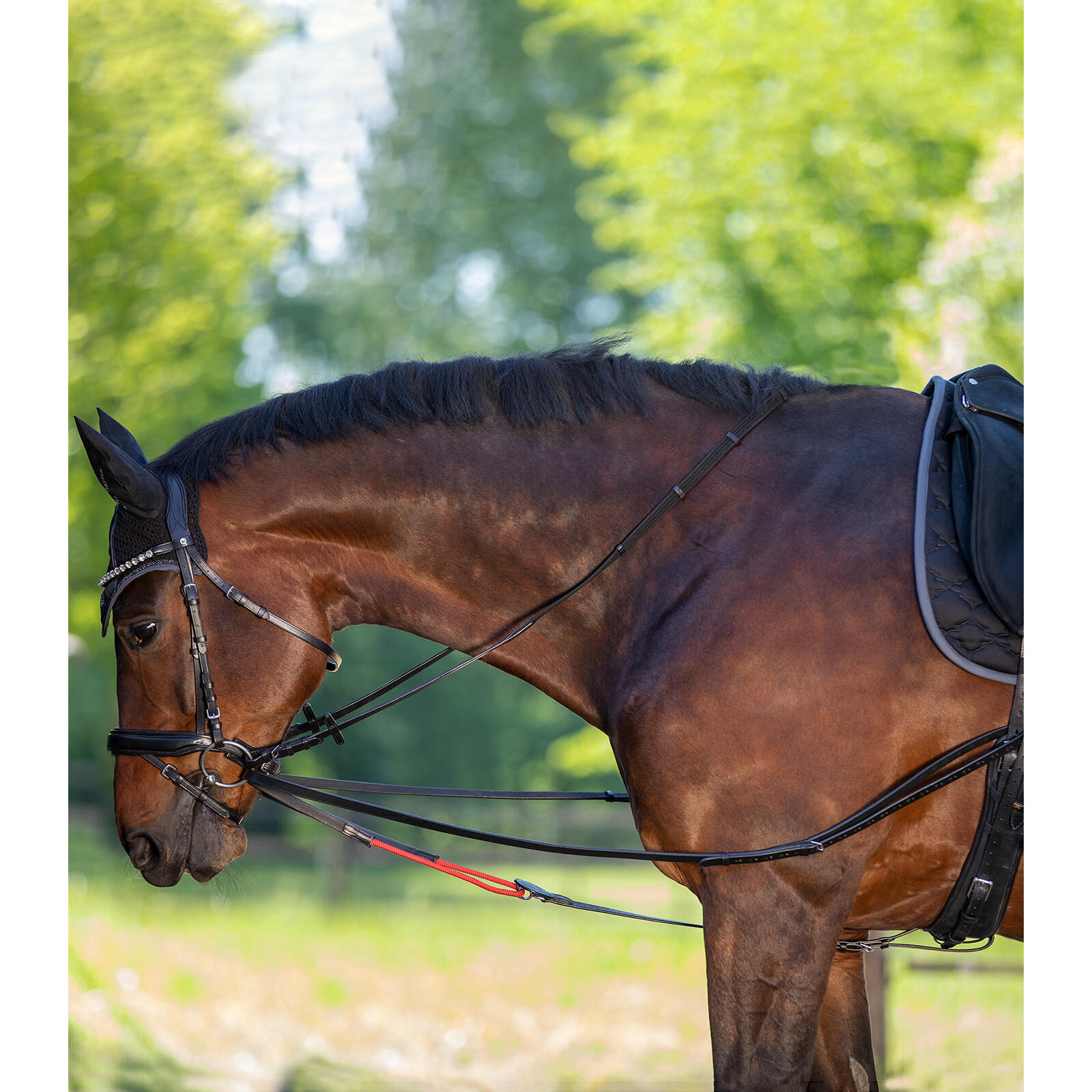 Frenos para caballo de entrenamiento Waldhausen W-trainRein 2/5