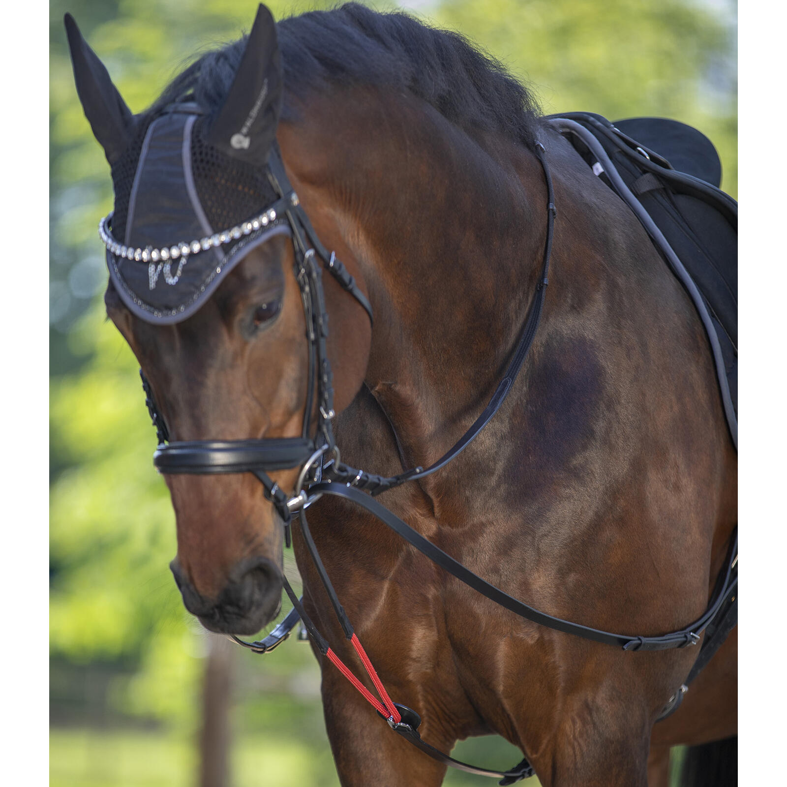 Frenos para caballo de entrenamiento Waldhausen W-trainRein 3/5