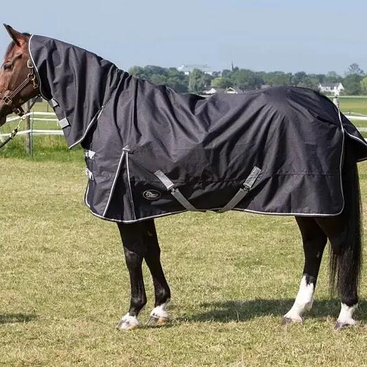 Outdoor horse blanket Harry's Horse Thor