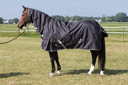 Couverture d'extérieur imperméable cou Thor 0gr - Harry's Horse