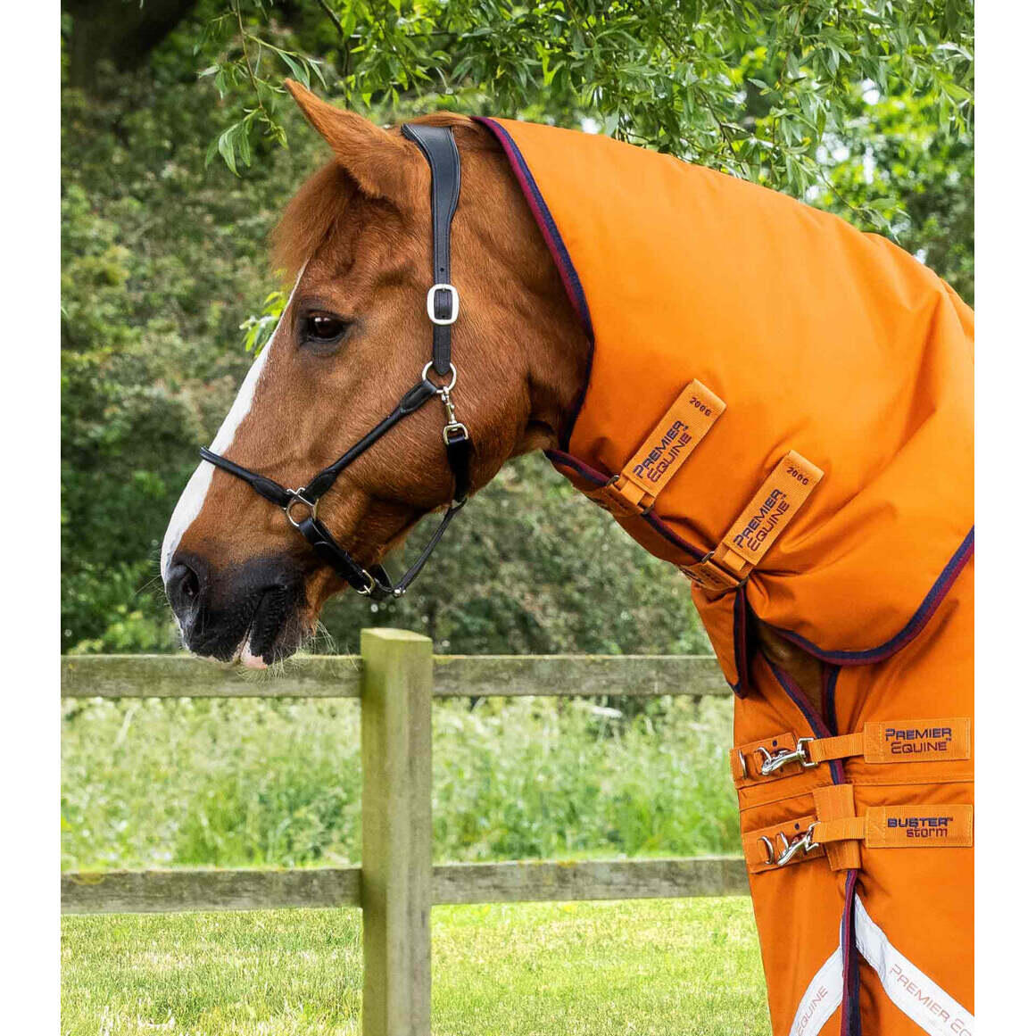 Waterdichte paardendeken met halsbedekking Premier Equine Buster Combo 200g 2/5