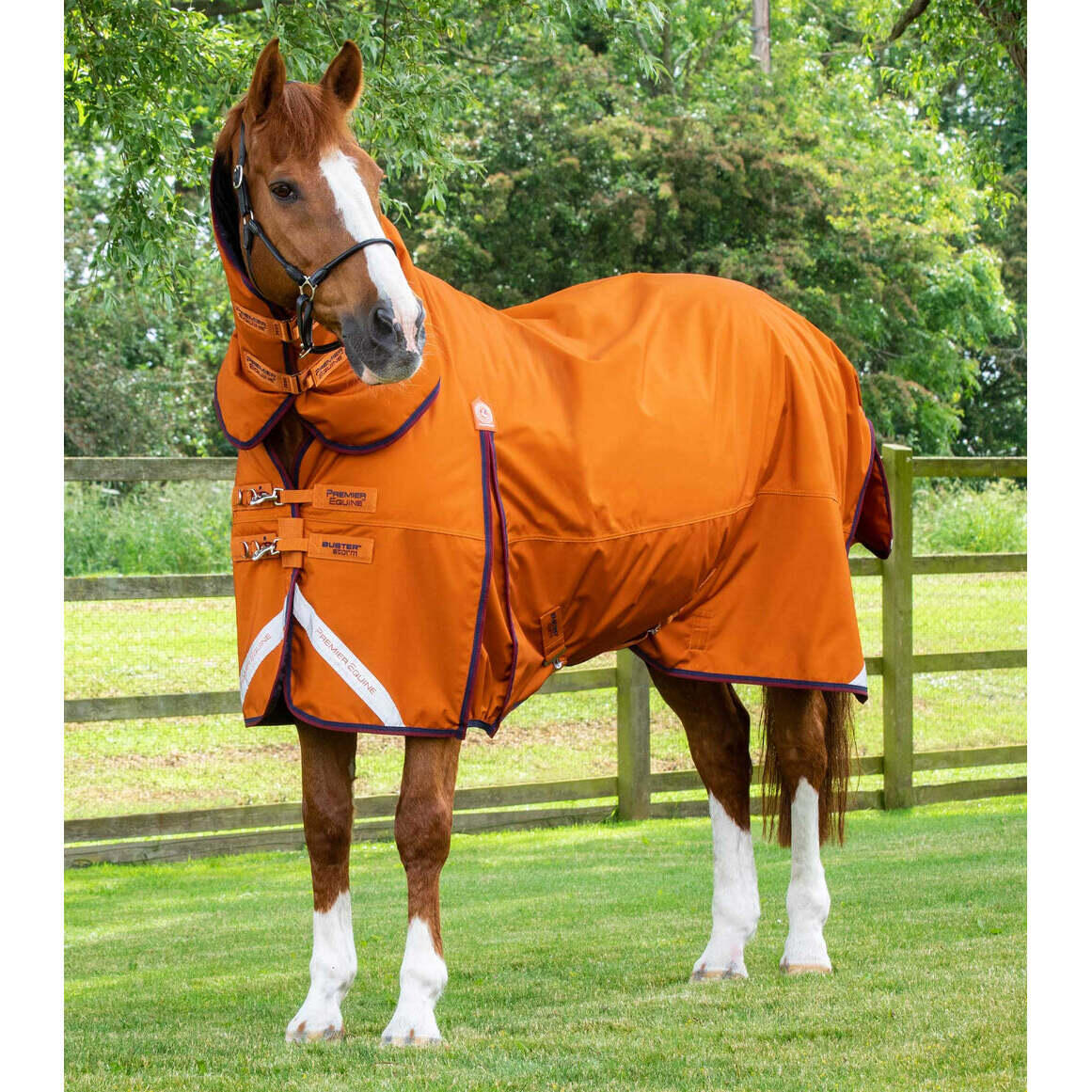PREMIER EQUINE picture