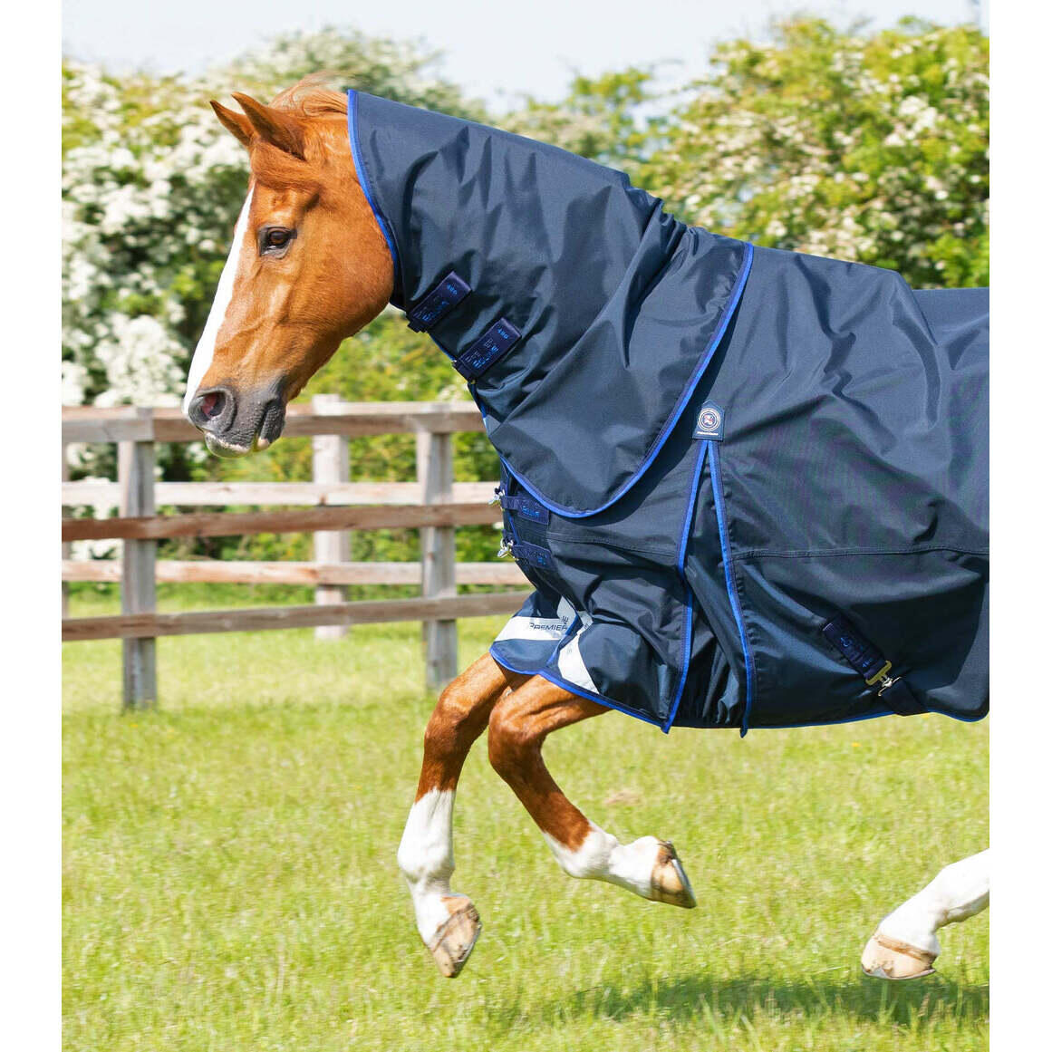 Waterdichte paardendeken met halsbedekking Premier Equine Buster 40g 2/5