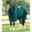 Couverture d'écurie pour cheval avec couvre-cou Premier Equine Lucanta 200 g
