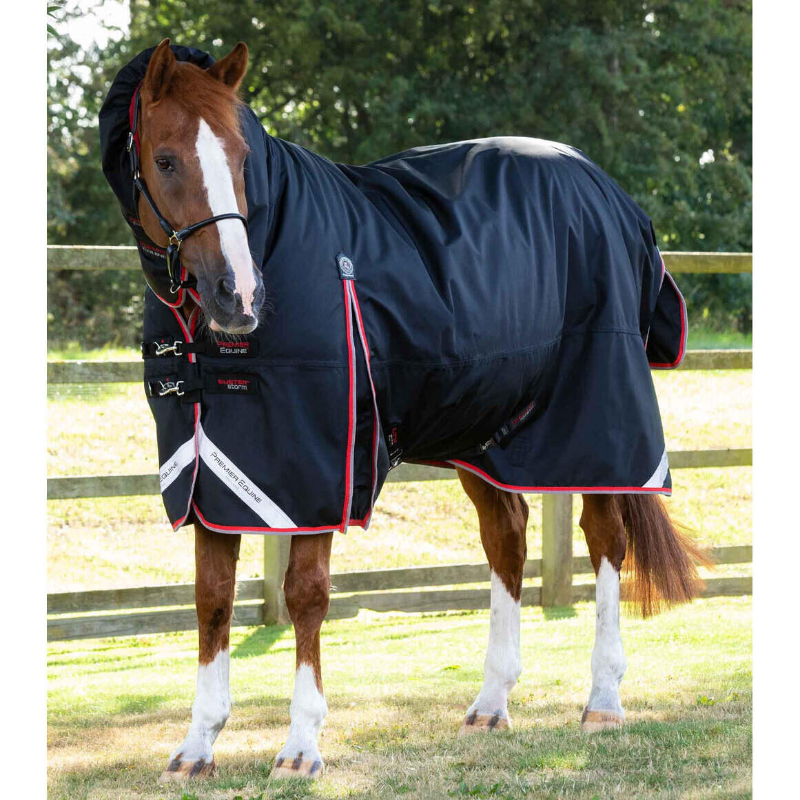 PREMIER EQUINE picture