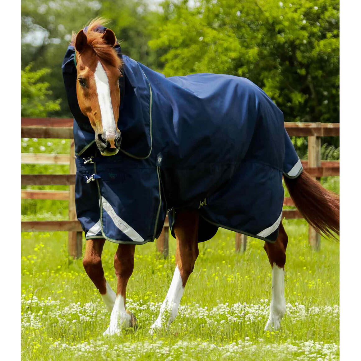 PREMIER EQUINE Outdoor-Decke mit Halsteil Premier Equine Titan 40 g
