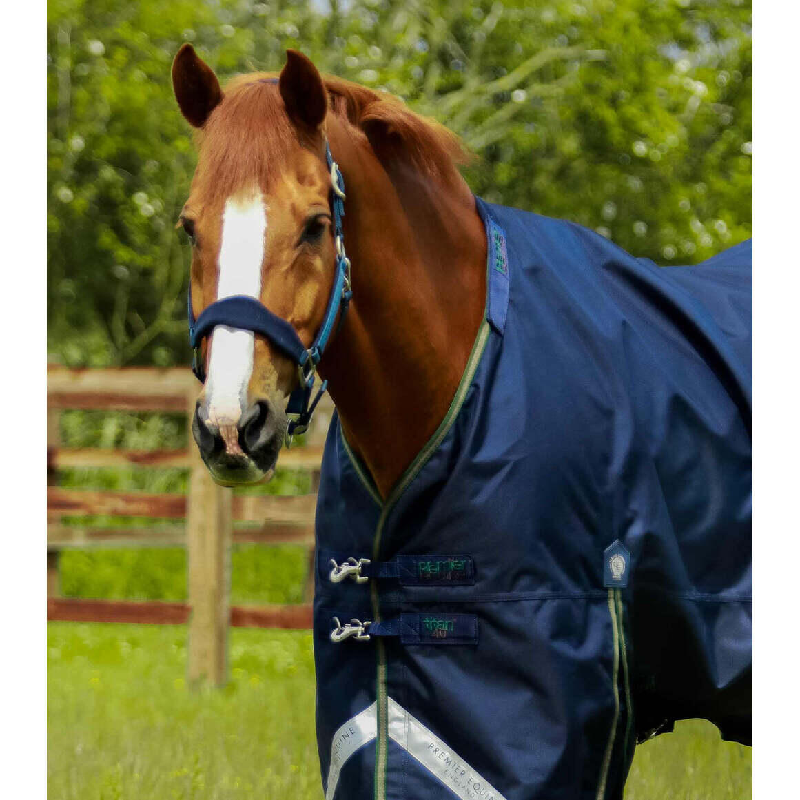 Couverture d'extérieur pour cheval avec couvre cou Premier Equine Titan 40 g 3/6