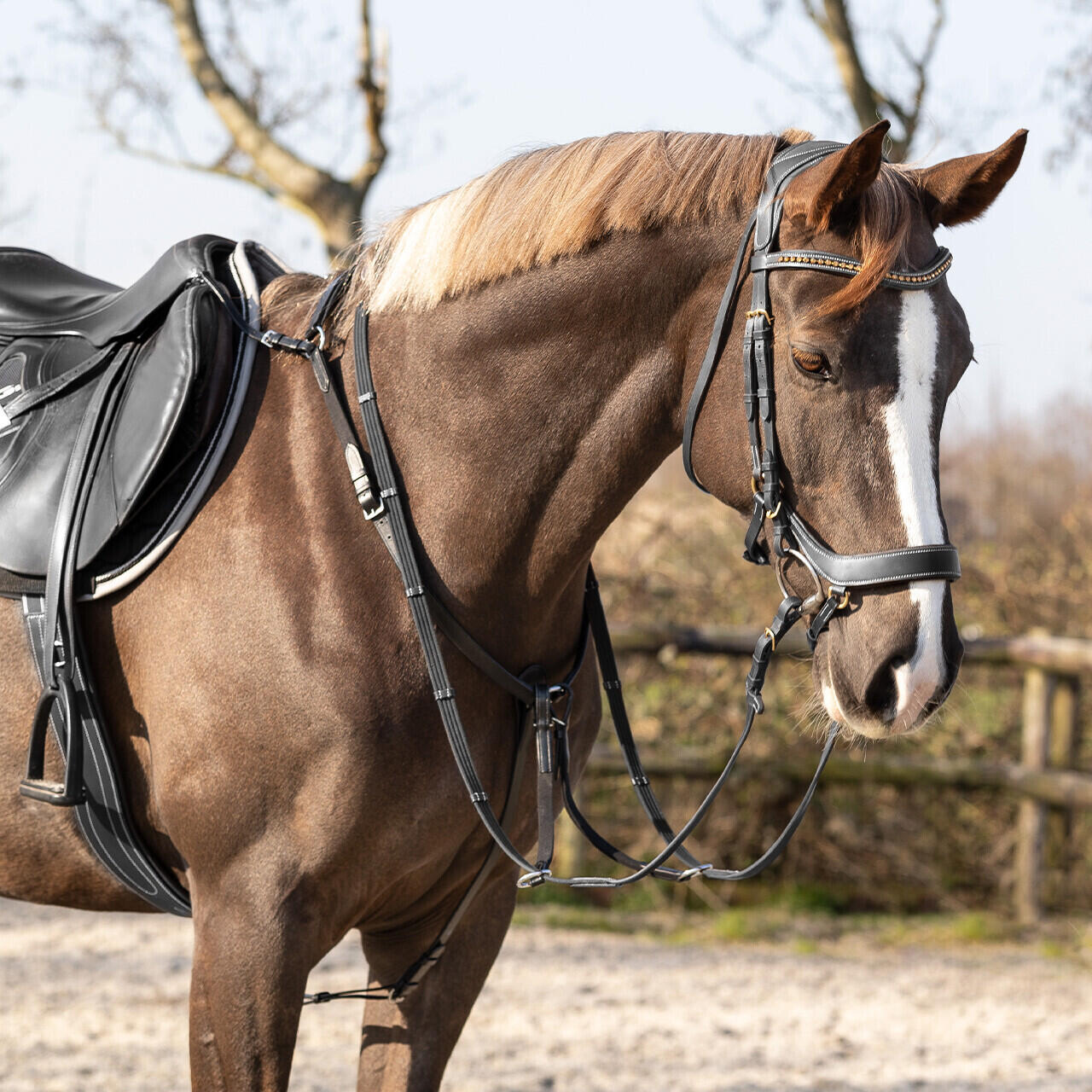 Collare da caccia per cavallo QHP Basic Pro 5/7