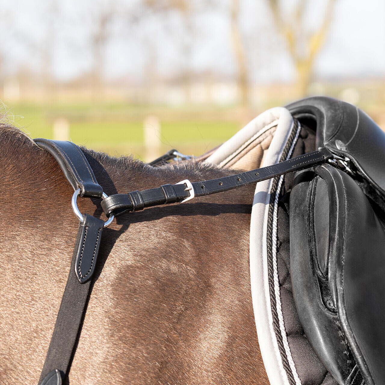 Collare da caccia per cavallo QHP Basic Pro 6/7