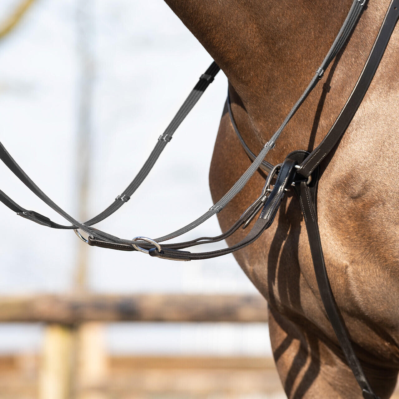 Collare da caccia per cavallo QHP Basic Pro 7/7