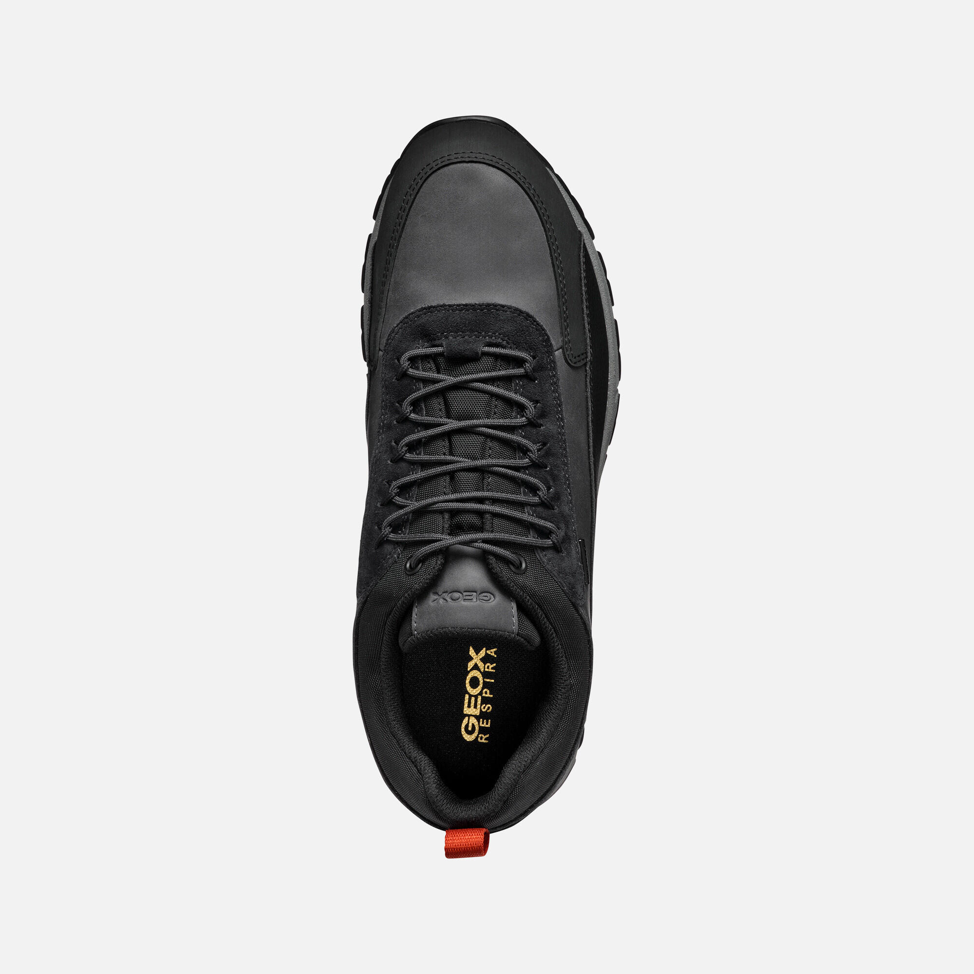 Baskets Geox Doray 6/7