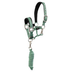 Ensemble licol et longe pour cheval BR Equitation