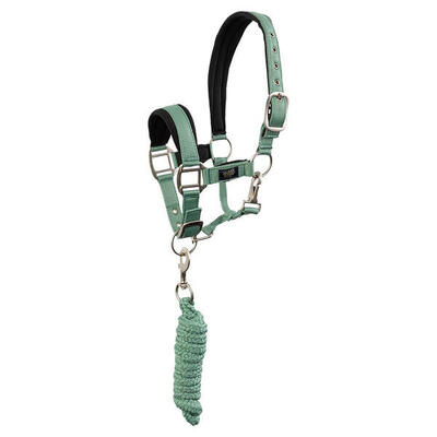 Set Cavezza e lunghina BR Equitation