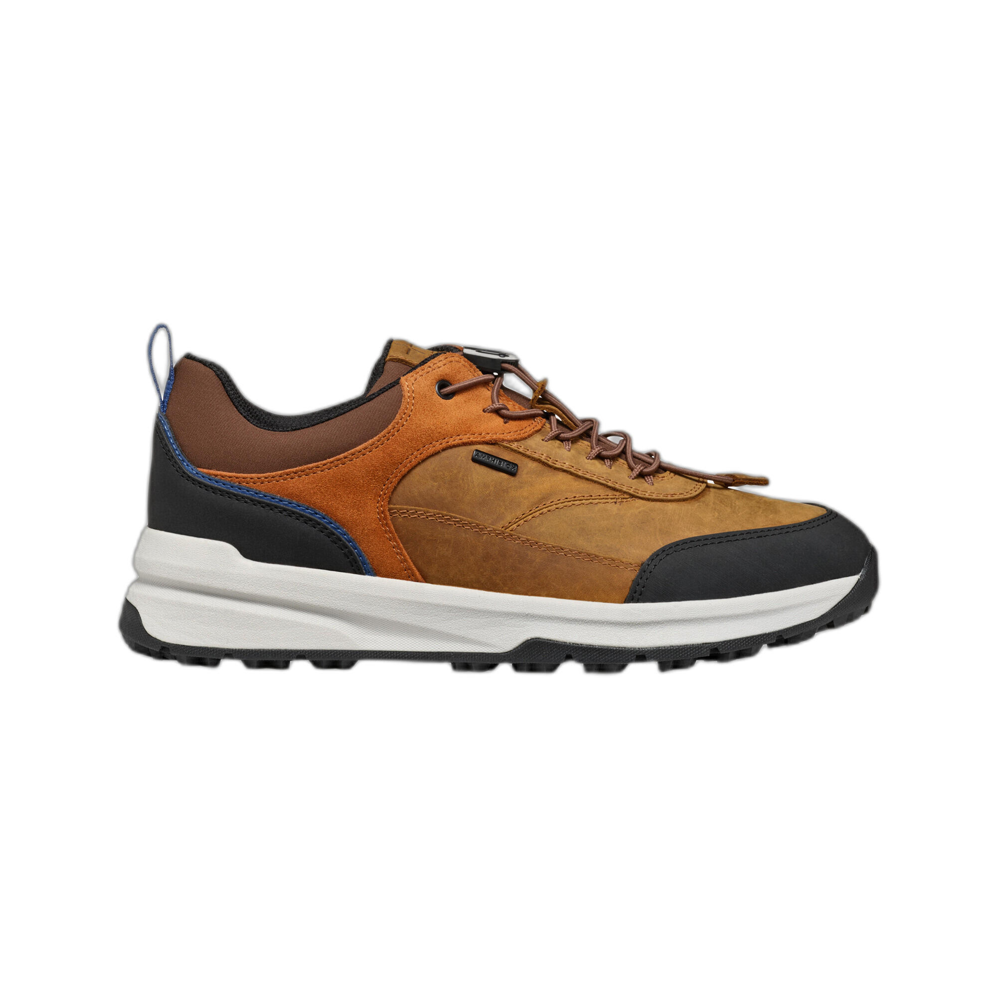 GEOX picture