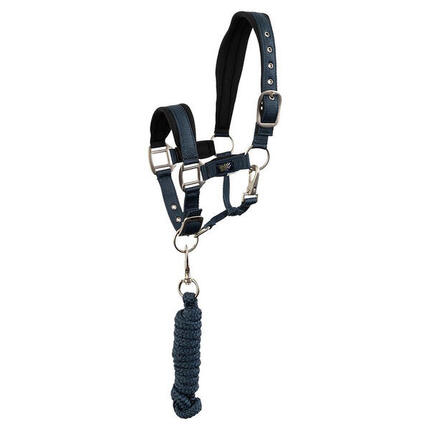 Ensemble licol et longe pour cheval BR Equitation