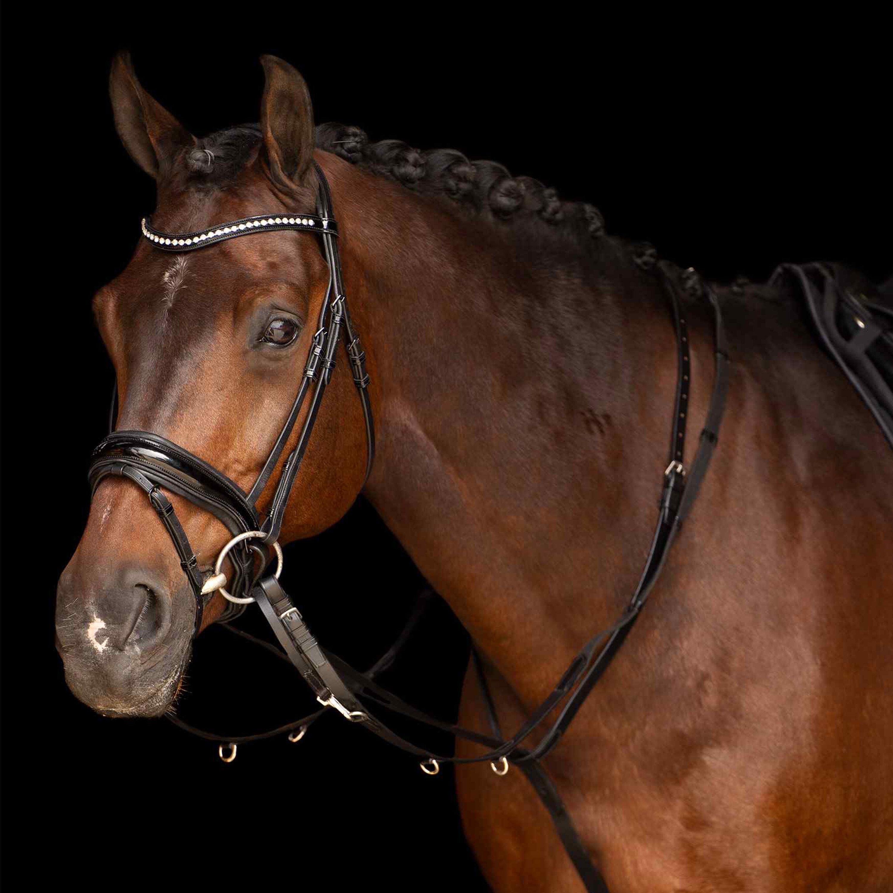 Elastico per cavalli Imperial Riding Thiedemann Core 2/2