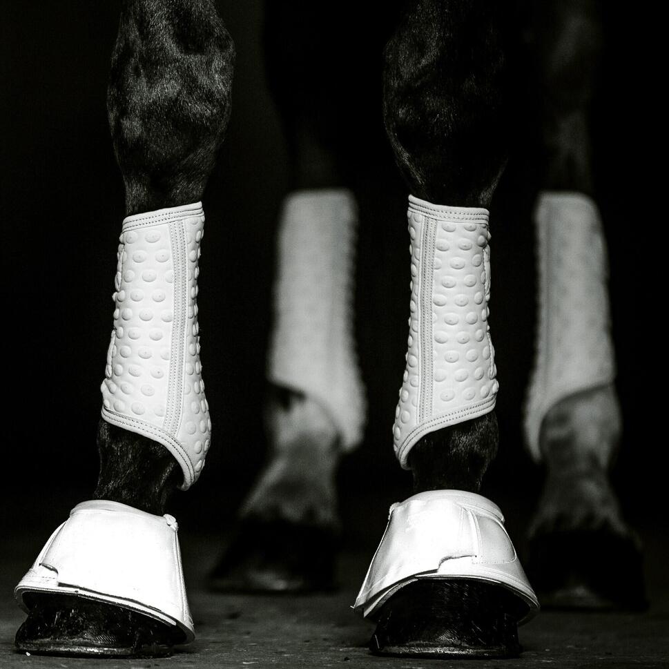 Buty dla koni Equilibrium S&F Simples thumbnail