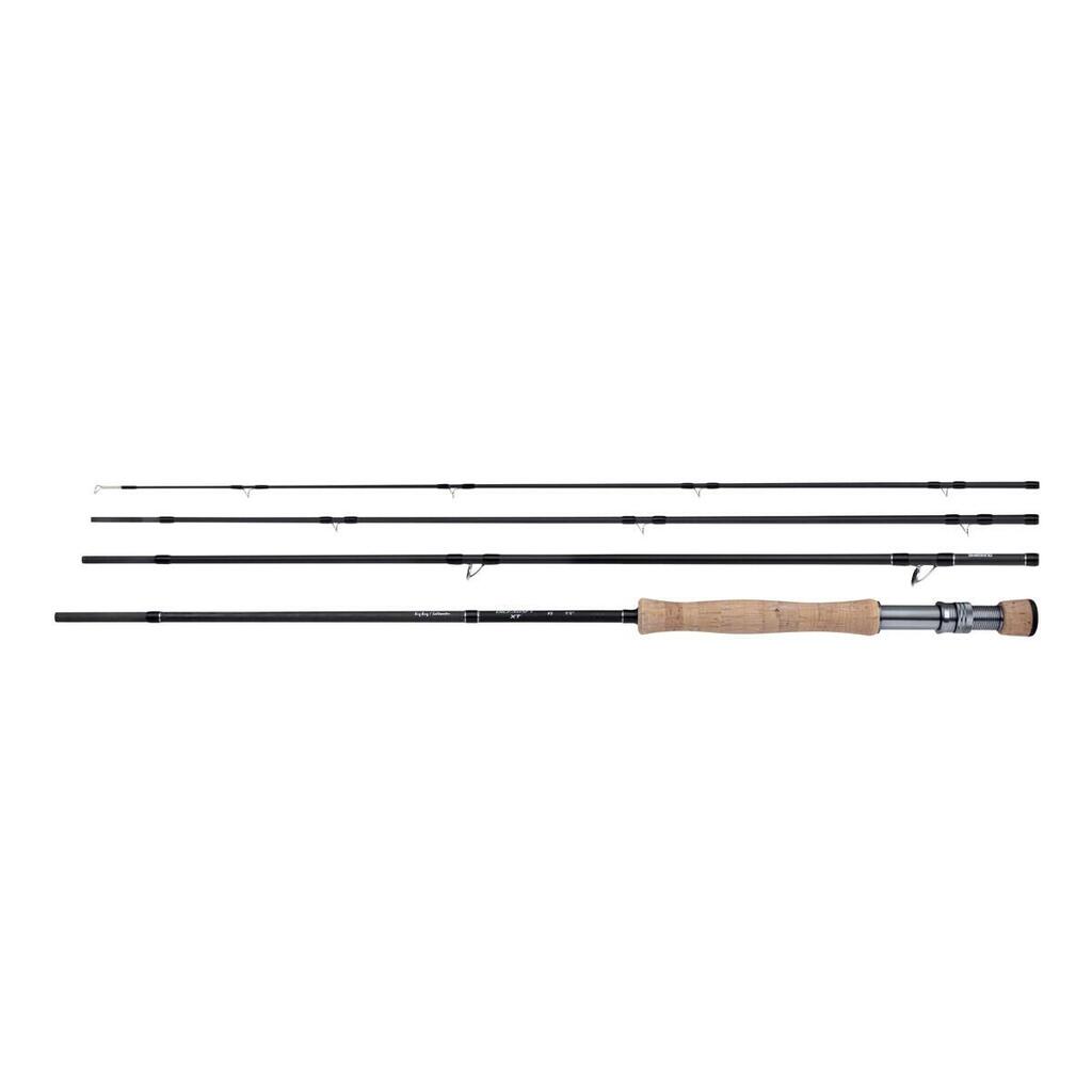 Spinning rods Shimano Biocraft XTC Fly Bg Bug/SW 9'0 #8