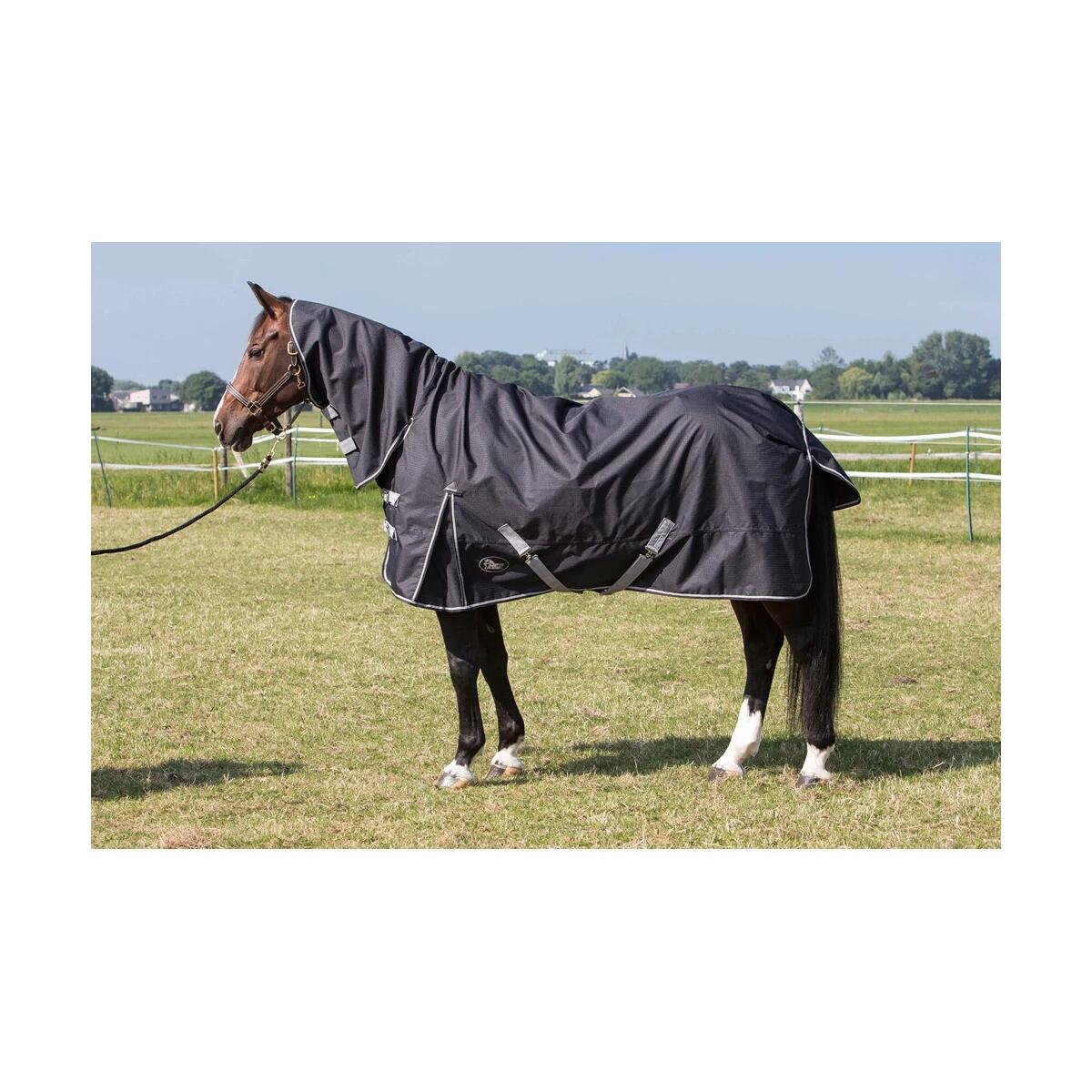 Harry's Horse Regendeken Thor met hals 4/4