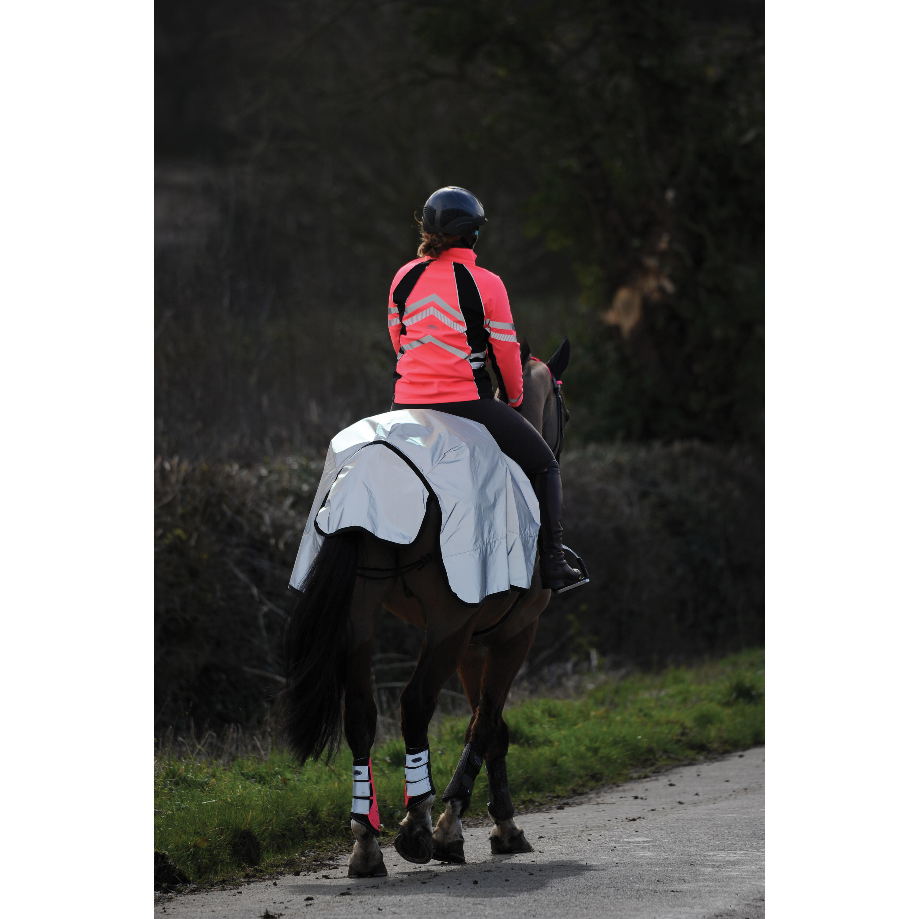 Manta impermeable reflectante para caballos Weatherbeeta 3/5