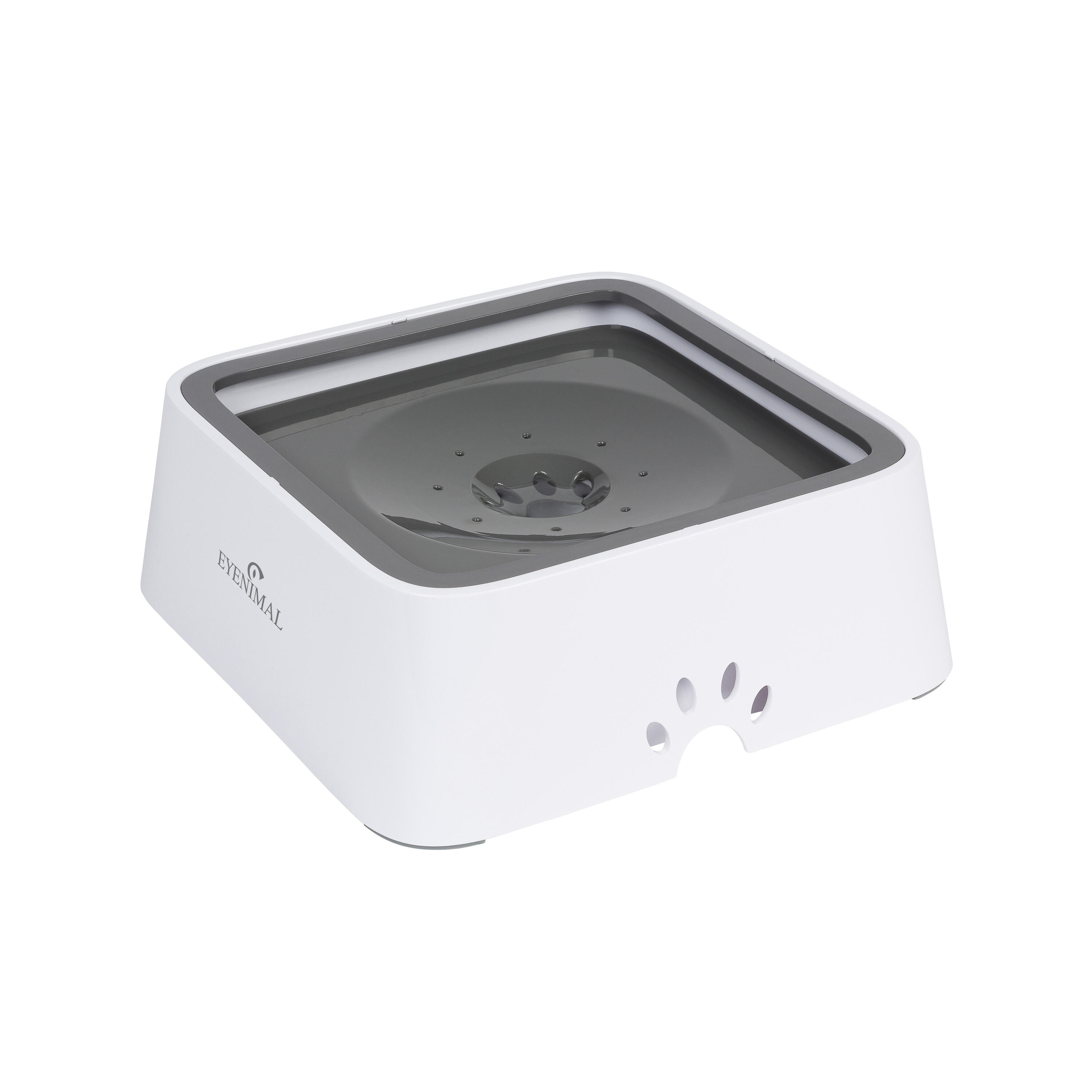 EYENIMAL Fontana d'acqua antispruzzo per cani Eyenimal