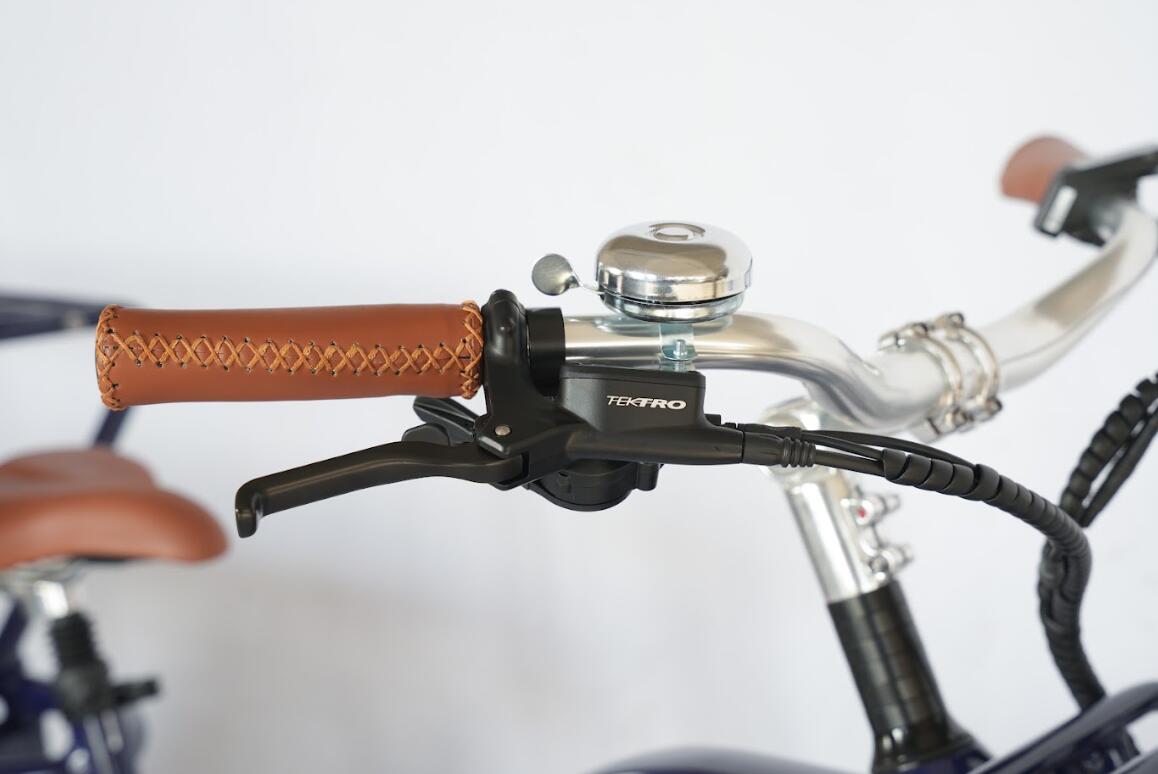 Vélo longtail électrique - jusqu'a 3 enfants - moteur puissant 85 Nm - Français 5/6
