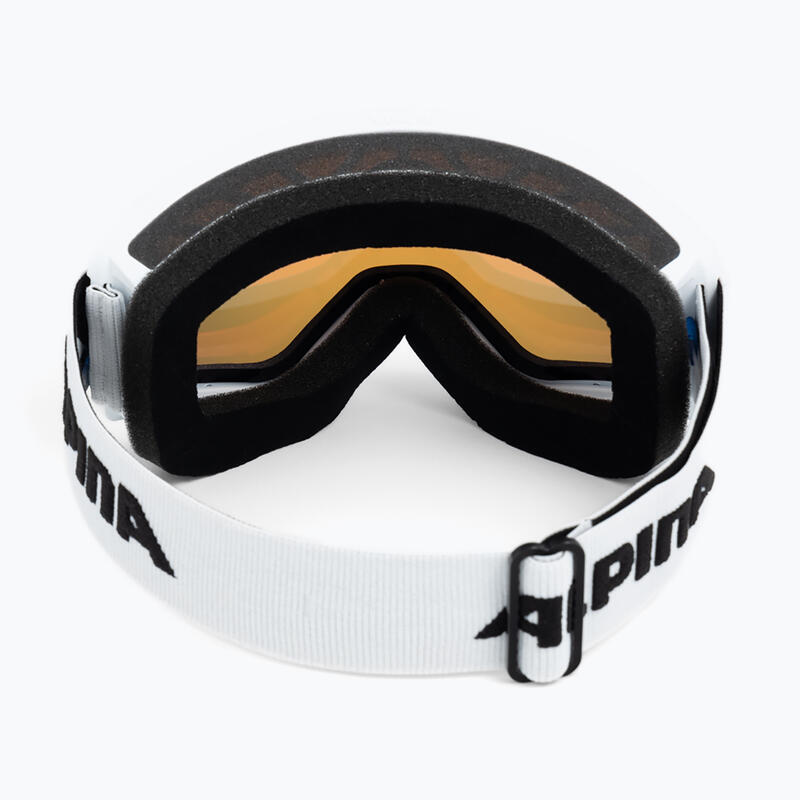 Ochelari de schi Alpina Narkoja Q-Lite