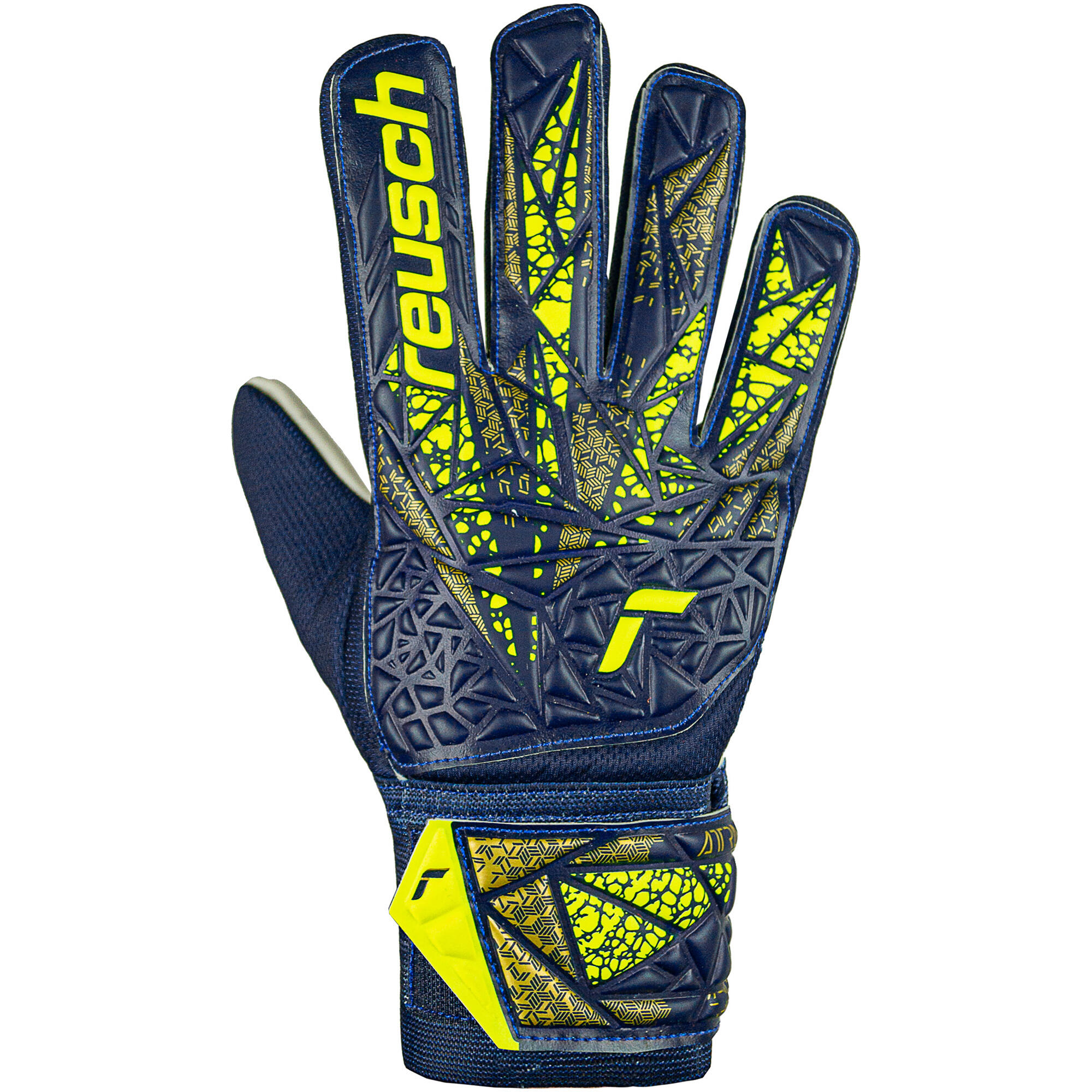 REUSCH picture