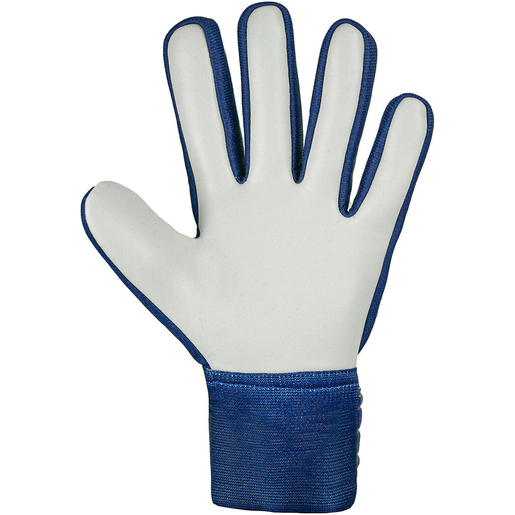 Kid's goalie gloves Reusch Attrakt Starter Solid