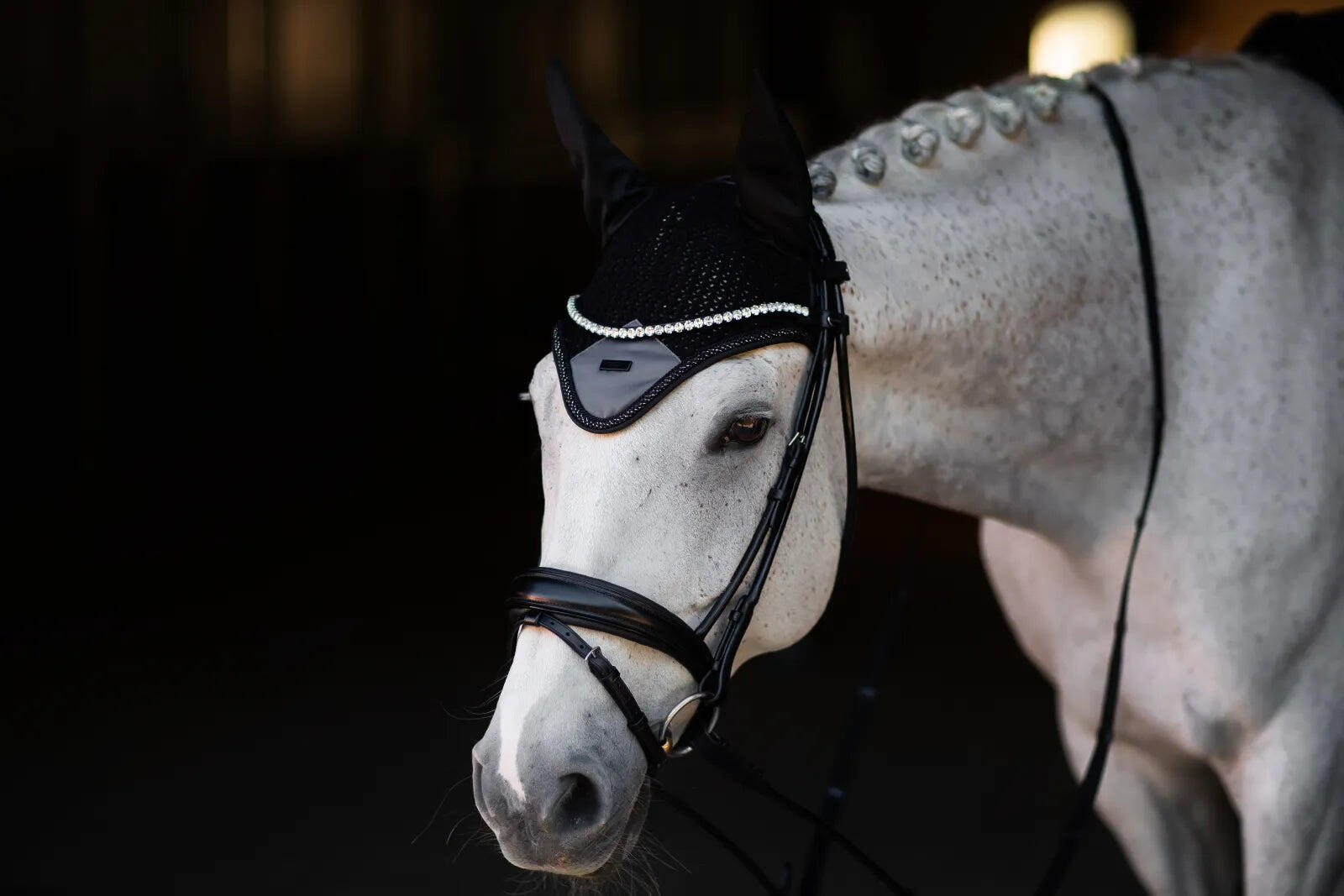 EQUESTRIAN STOCKHOLM picture