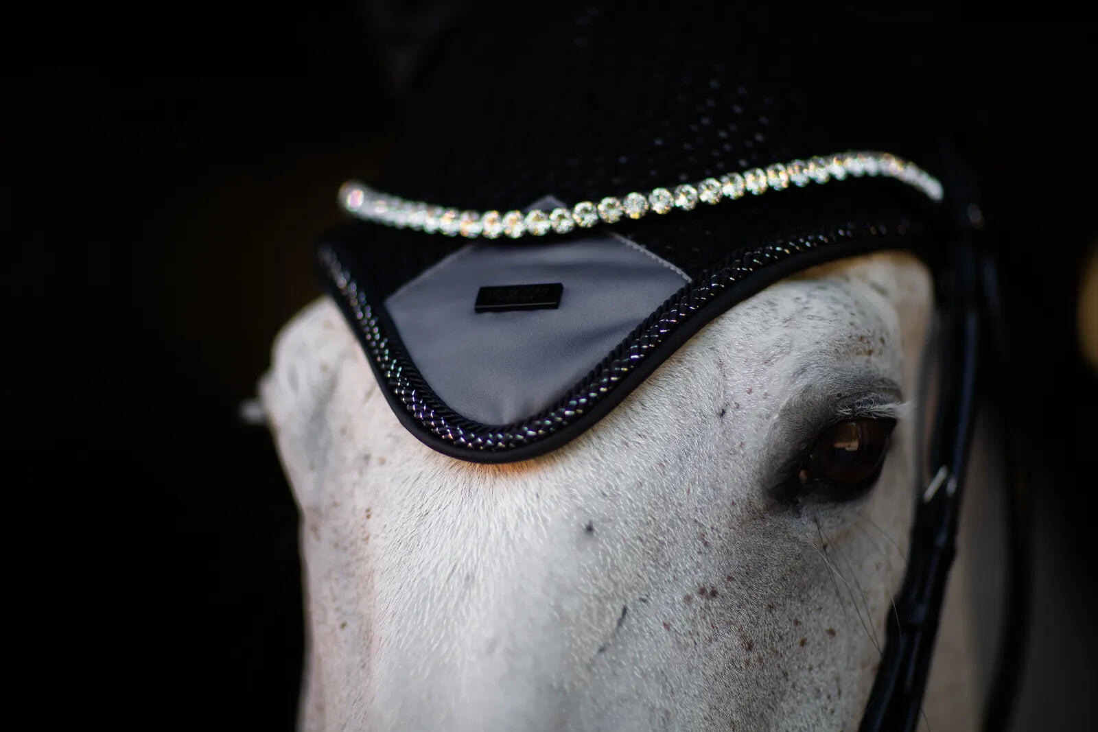 Bonnet anti-mouches Winter Shadow - Equestrian Stockholm 3/3