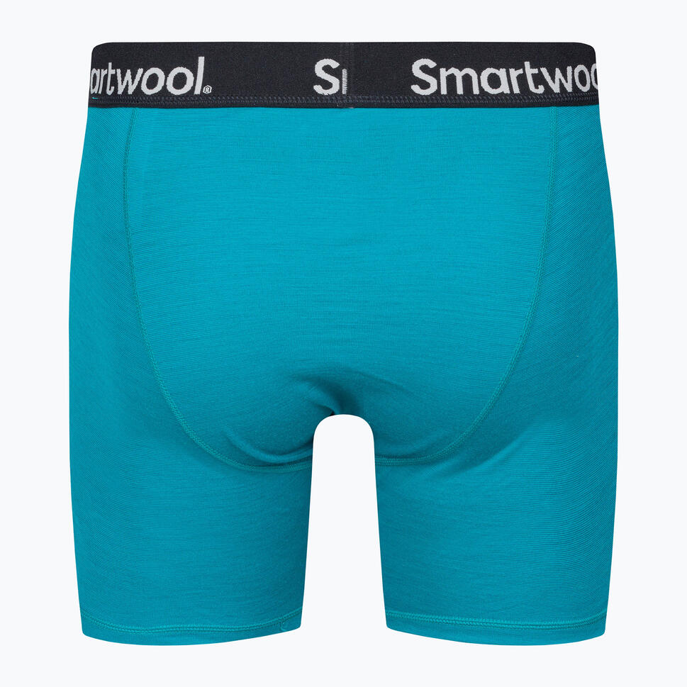 Bokserki termoaktywne męskie Smartwool Brief Boxed