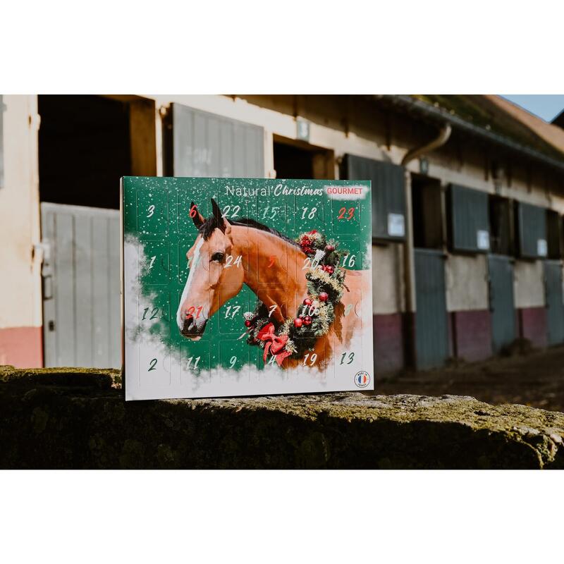 e3d79727-61cc-4782-9485-e9a603450f8d_novar