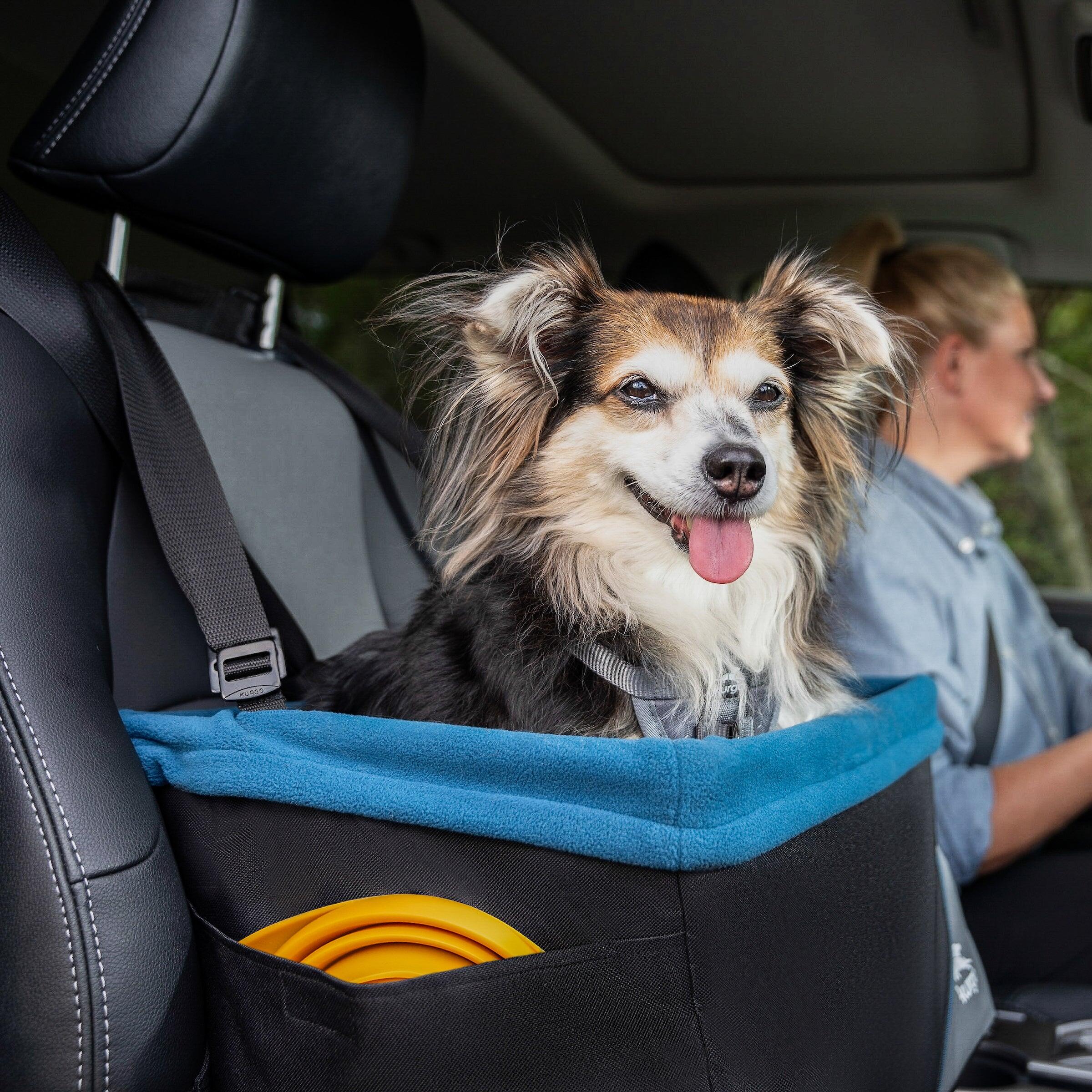 Rover Dog Booster Seat - transitioned