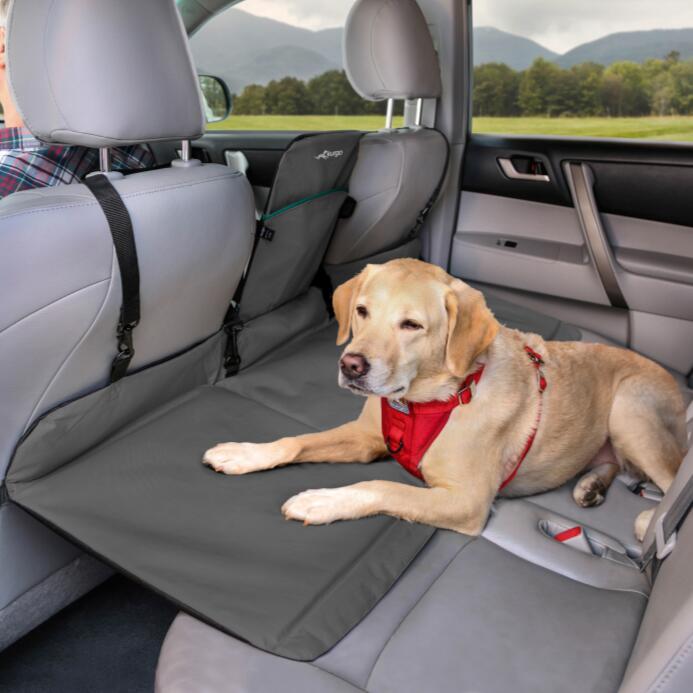 Rover Backseat Bridge