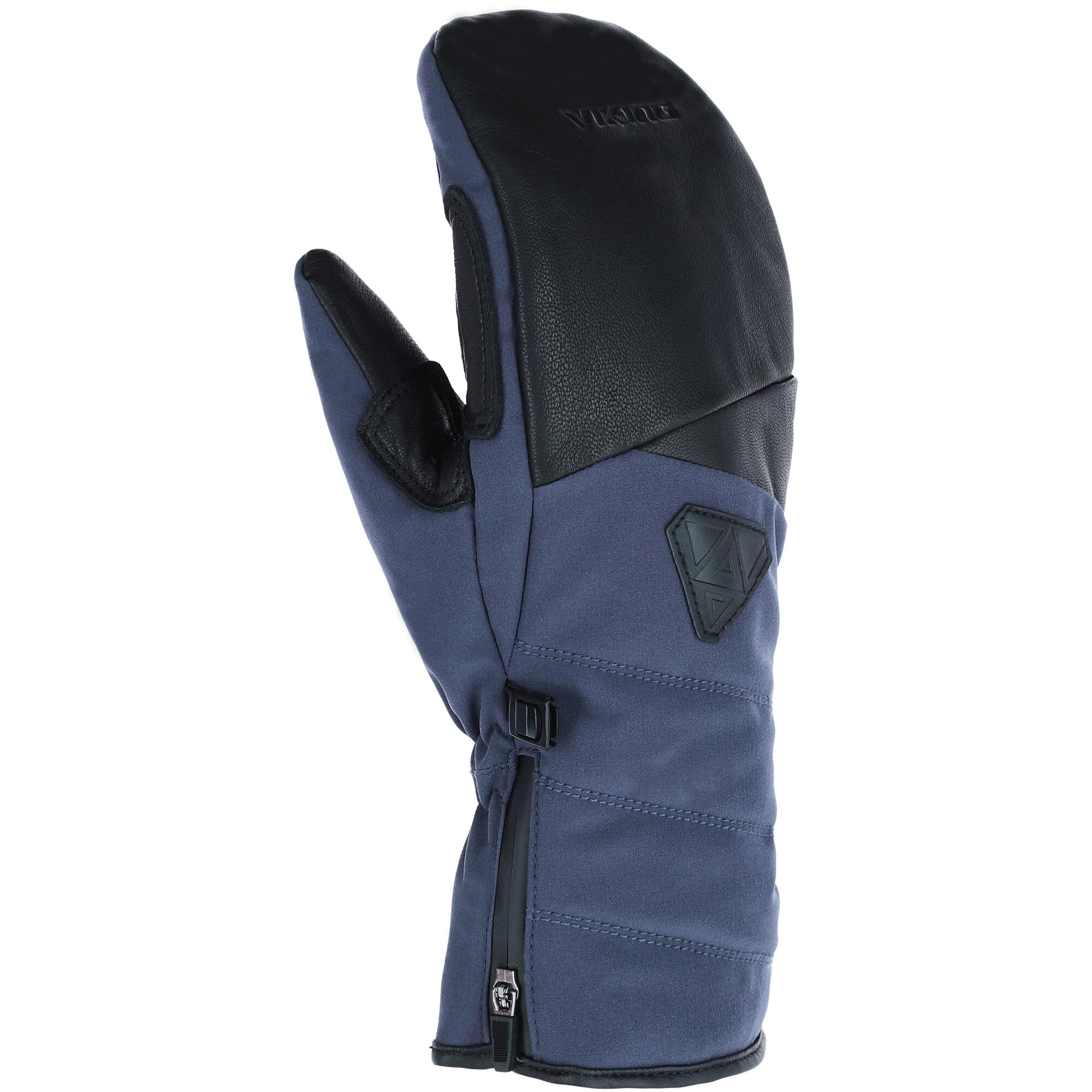 VIKING picture