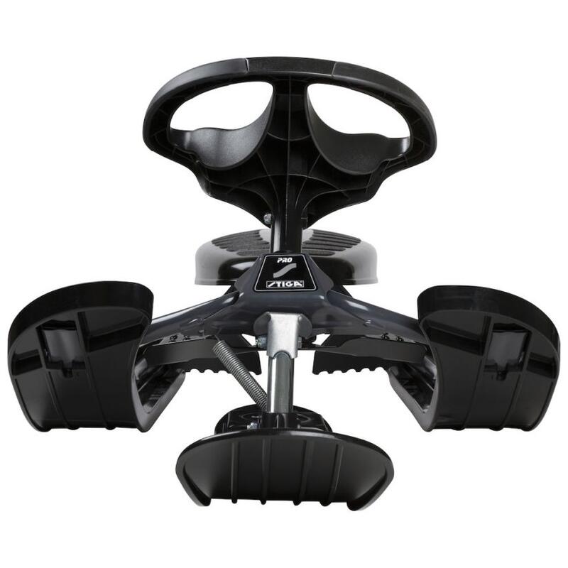 Skibob Snowracer Curve Pro