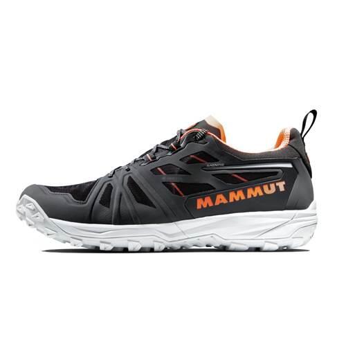 MAMMUT picture