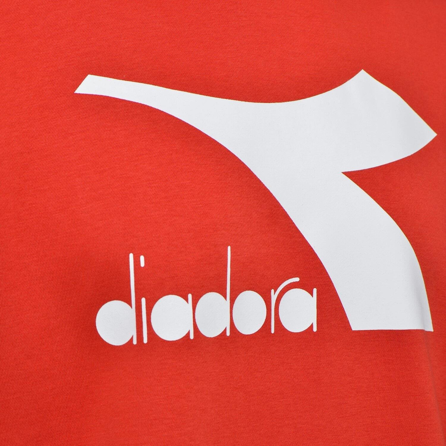 Bluza męska DIADORA HOODIE BIG LOGO 3/3