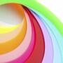 Ring Standard Play ø 32 cm – 110 g – Fluoroze 4/4