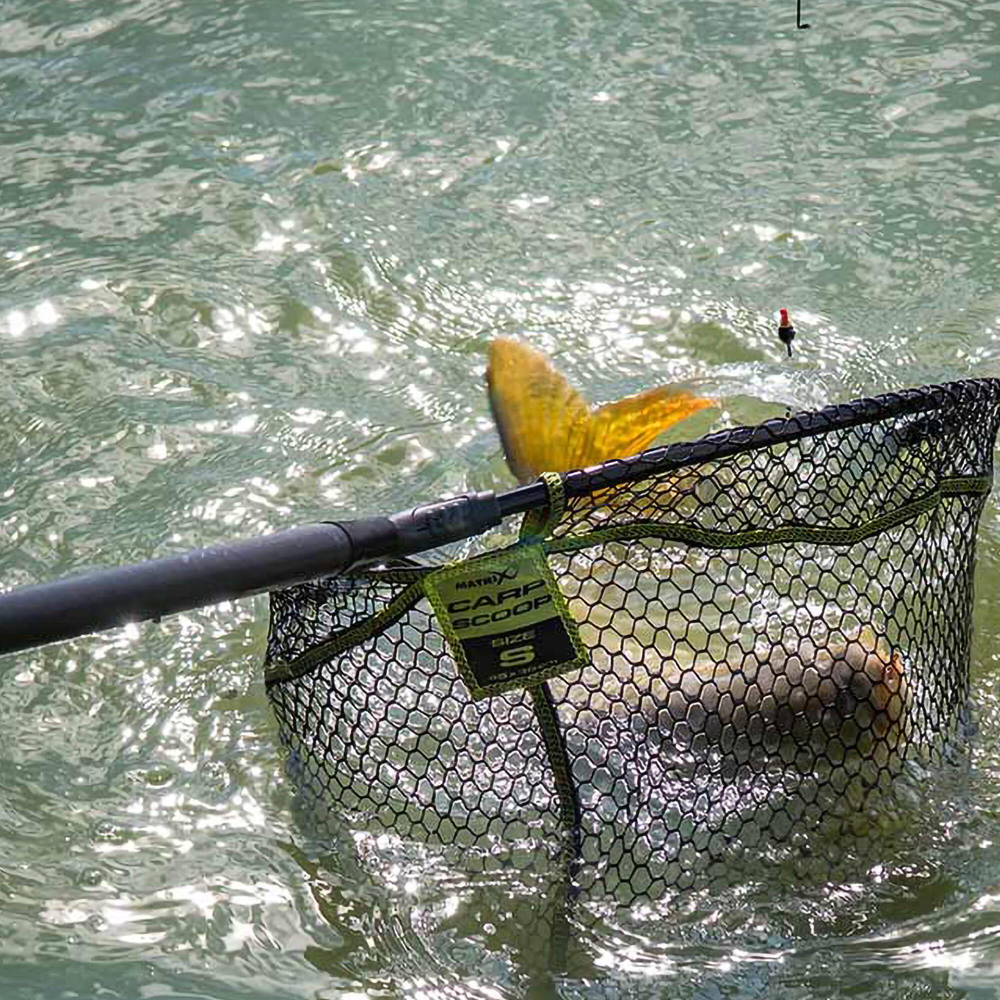 Karpfenkescher Matrix Scoop 7/7