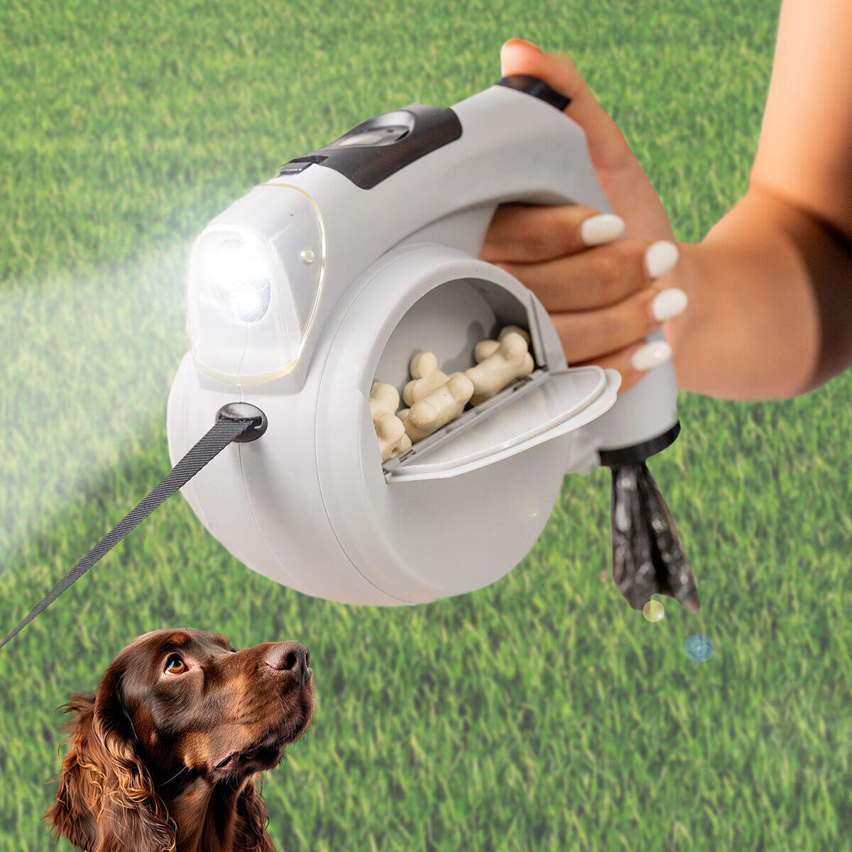 Trela Retrátil para Cães 6 em 1 InnovaGoods Cinzento 2/7