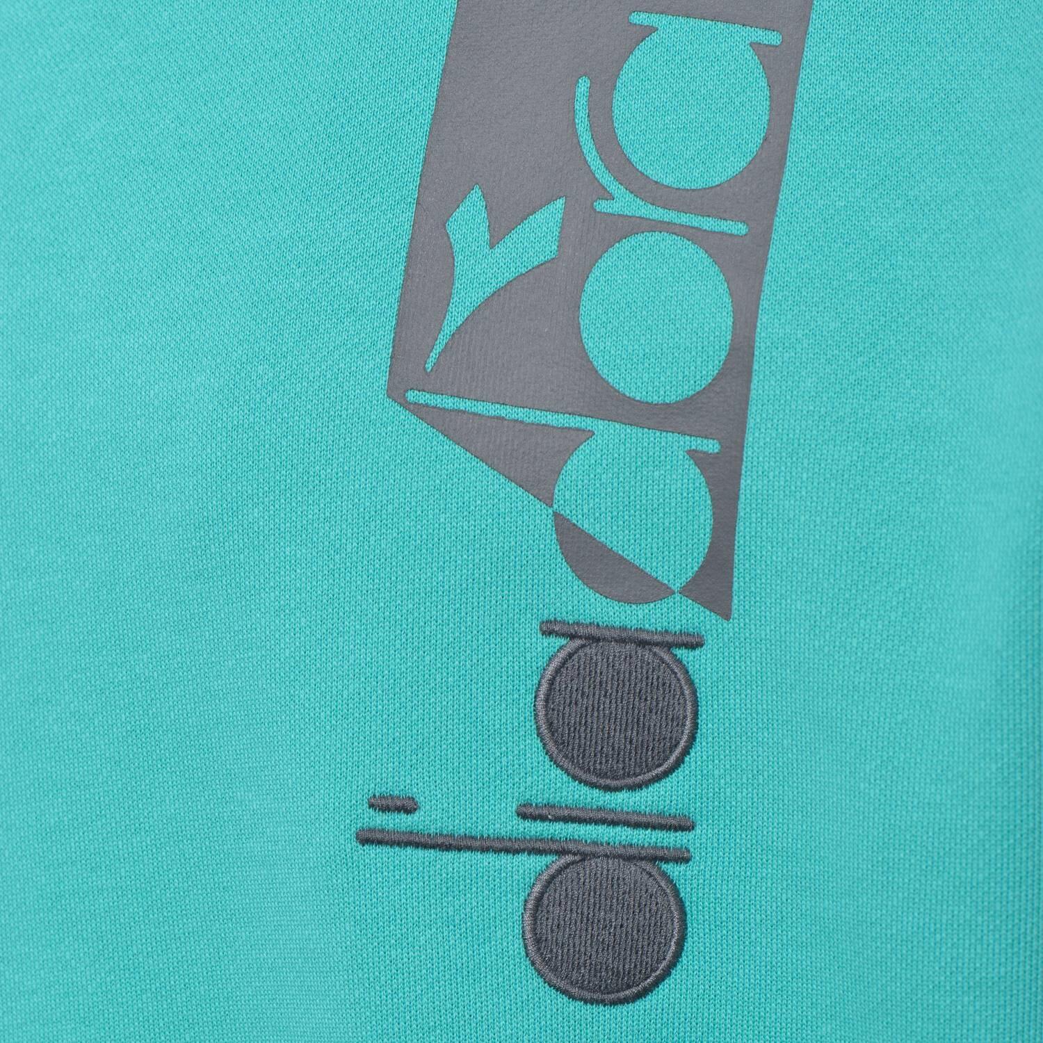 Bluza męska DIADORA HOODIE ICON 3/3