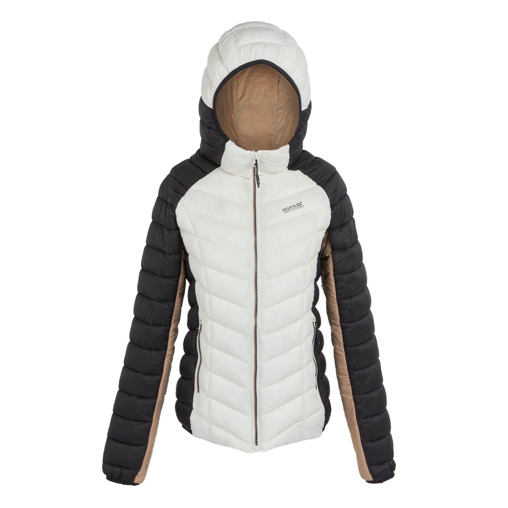 REGATTA Dames Dalent Gewatteerd Hooded Jacket (Zwart/Blanc De Blanc)